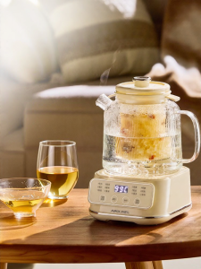 APIXINTL | Glass Multifunctional Kettle Cooker