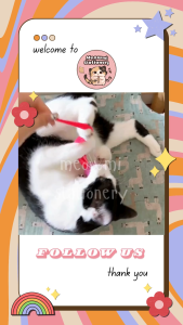 Mainan Kucing Bola Bulu Penghilang Bosan PT0008