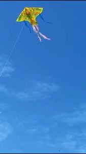 Diều phụng 6 đuôi phi long