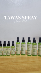 [ 𝗕𝗨𝗬𝟭 𝗧𝗔𝗞𝗘𝟭 ] Palm Essence Tawas Spray and Foot Deo Spray | Unscented Organic Deo for Women & Men