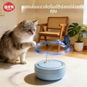 hipidog | Automatic Teaser Toy
