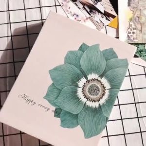 4R 6 Inch 200pcs Large capacity Insert Plastic Sealed Scrap Interleaf Type Baby Memory Wedding Anniversary Photo Album Collection MK