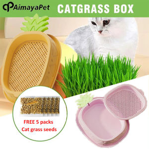 AIMAYAPET Cat Grass Box PP Material Seedling Tray Catnip Hydroponic With Cat Seeds Soilless Grass Nursery