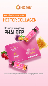 Nước Nấm Đông Trùng Hạ Thảo Hector Collagen 50ml x 10 bổ sung collagen hỗ trợ đẹp da