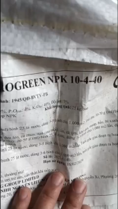 Phân bón NKP410-4-40 + Te Nuôi Củ Quả Lớn Nhanh To Trái - Gói 1kg