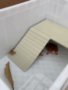 Turtle Box Specific Ladder Sunbathing Platform Resting Bathing Basin Land Turtle Soaking Pool Water Basin Pet Turtle Equipment