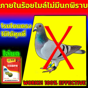 10ปีไม่มีนก ไล่นก ซื้อ1แถม3 ไล่นกพิราบ กันฝน กันแดด สเปรย์ไล่นก ปลอดภัยไร้สารพิษ ไล่นกพิราบถาวร ไล่นกอย่างมีประสิทธิภาพ 100% ที่ไล่นก เหมาะสำหรับสถานที่ต่างๆ น้ำยาไล่นก การควบคุมนกที่อยู่ได้นาน ที่ไล่นกพิราบ แขวนไว้ ไม่มีนกเลย ที่ไล่นกพิลาบ กันฝน ไล่นก