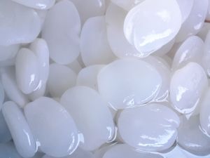 paket hemat kolang kaling segar bahan manisan kolang kalung segar isi 2 kg