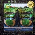 Jual Benih Rumput Jepang 100Gram - Benih Rumput Jepang 100G Diskon 10%. 