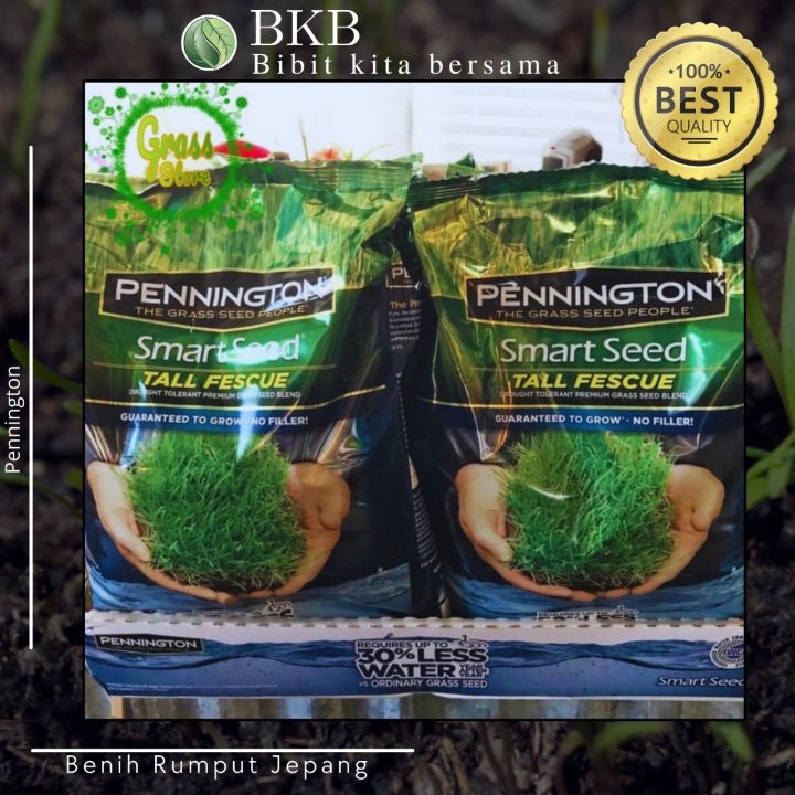 Jual%20Benih%20Rumput%20Jepang%20100Gram%20-%20Benih%20Rumput%20Jepang%20100G%20Diskon%2010%25%20-%20Image%203