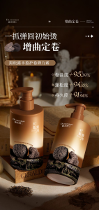 WE 4104 = 黑松露弹力素 Black Truffle Elasticizer ☞ 300ml #头发护理