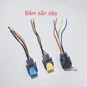 Combo Relay SEIDO OMRON RGL có bấm sẵn giắc