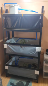 DIY TARAPAL POND WITH METAL FRAME SIZE 3ft x 2ft x 1ft SET FOR CRAYFISH