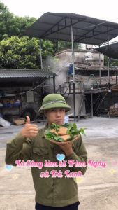 [CHÍNH HÃNG]  Xà Bông Chùm Ngây Trà Xanh xà phòng thiên nhiên thảo dược HTX Sinh Dược