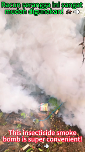 Insecticide smoke bomb Eliminate both insects and their eggs pest control Effective against cockroaches mosquitoes geckos flies ants ubat nyamuk Repellent Supplies lipas lizard tikus racun cicak lekat dinding solution organik tilam pepija lalat bed bugs B