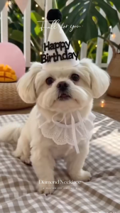 1Pc Pet Birthday Hat Happy Birthday Party Hat for Dog Cat Puppy Kitten Birthday Decorations Party Supplies