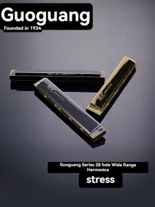 28Holes Professional Harmonica Wide Range Double Tone C Key Accent Commemorative Edition Harmonica