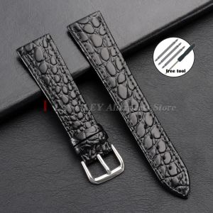 Brown Black Leather Watch Band Crocodile Skin Bracelets Men Women Watch Strap 10/12/13/14/16/18/19/20/21/22mm Gold Buckle Belts