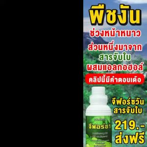 จีฟอร์ซวัน 4 ลิตร สารนำพา สารจับใบเร่งการดูดซึม สูตรเข้มข้น นำเข้าจากเยอรมันนี สูตรไม่มีแอลกอฮอล์ ไม่ทำร้ายใบพืช