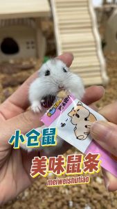 【READY-STOCK】Nutrition Bar Hamster & Small Pets Supplement Snack Hamster Nutrition Treat 15g 仓鼠肉泥营养条 小宠零食 仓鼠条