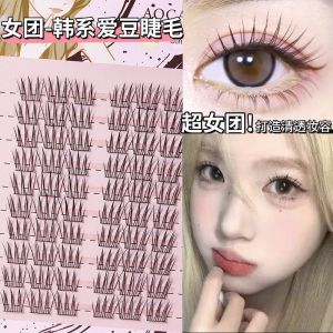 Natural Looking Korean Style Fake Eyelashes Easy to Use Single Cluster Segmented Beginner Friendly for Girl Groups Idols