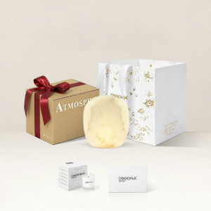OsgonA | Luxury Decorative Bedside Lamp Rechargeable