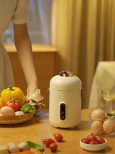 [SG Stock] 8-in-1 Mini Rice Cooker 500W - Non-Stick Electric Stew Pot Portable Multifunction Noodle Cooker for Home