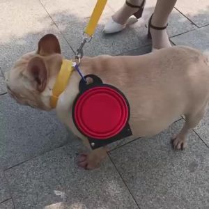 2 in 1 Collapsible Dog Travel Bowl Double Bowls Folding Food Water Bowl Portable Hangable Dog Feeder for Outdoor Dog Product