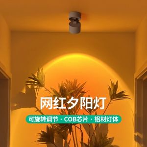 Adjustable Angle Built-In Spotlight for Living Room Wall Washing Atmosphere Lighting LED Lamp for Shop Lighting Decoration