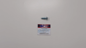 Baut Flange (Kunci 10) 6x20 (Harga 1 PC)- Baud Bolt Ring Topi 6 mm Panjang 20 mm Kunci Kepala 10