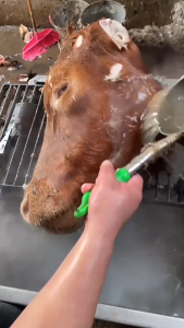 Pisau Penghilang Bulu Baja Tahan Karat Untuk Pembersihan Bulu Ternak Sapi Dan Kambing