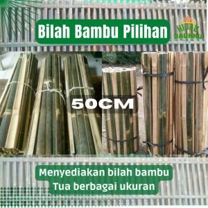 10pcs Pring Bambu Belah Tua Pilihan Panjang 50cm Untuk Pagar Tiang Rambat Tanaman Sudah Bersih & Halus Sesuai Ukuran Panjang
