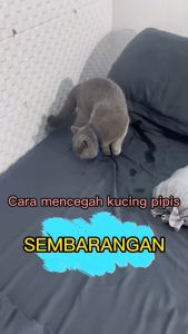 HUS HUS RAT CAT 250 ML Anti TIKUS dan KUCING Spraying Aman Untuk Hewan Peliharaan