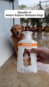 CANAAN - ANIPRO: Sulphur Dog Shampoo (500ml) - Relieves skin problems that cause flaking scabbing itching & loss of fur effectively. Removes dry & flaky skin. Protects against skin problems. 有效解除皮肤问题. 除去干燥之皮屑. 预防皮肤病.