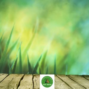 GLUCAN TỎI NEW Tăng miễn dịch giải độc phòng bệnh cho gia súc lợn gia cầm  gói 100 g 1 kg