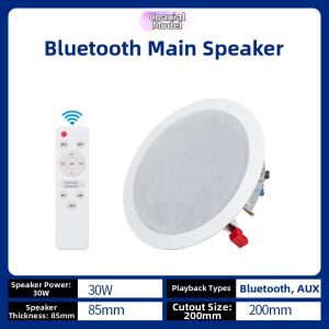 Bluetooth In-Ceiling Surround Indoor Speakers for Bubble Tea Shops Background Music