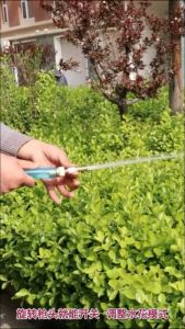 AKIRO MALAYSIA 1/2" Full Brass Nozzle Water Pipe Joint High-Pressure Direct Sprinkler Connector Garden Hose Adjustable Pressure Washer Water Pipe Joint Sprinkler Car Wash Spray Connector 高压喷头