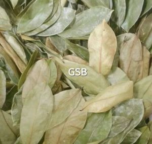 Daun sirsak kering 100 gram