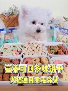 Biskuit Anjing Kualitas Tinggi & Snack Kucing
