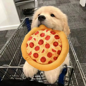 ของเล่นสุนัข Amour Dog Toy Pizza Sound Making Plush Pet Accompaniment Training Toy for Shiba Inu Golden Retriever Corgi Teeth Grinding