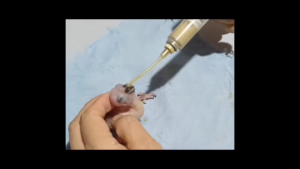 (10 Pcs for Resellers) Magnifica Handfeed Formula for Birds Wholesale 100g x 10 PCS