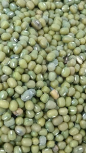 绿豆 500g Green Bean kacang hijau