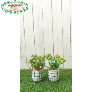 Pohon Hias Bunga Plastik Tanaman Sukulen Bunga Edelweiss Artificial Latex Pot Gelas Keramik Mini Pajangan Meja Kantor