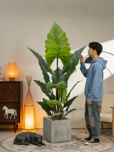 LIANYOU | Bionic Premium Colocasia Decorative Large Indoor Plant