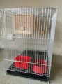 Complete set up bird cage CPU type. 
