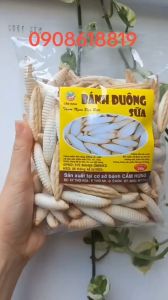 5 Gói Bánh con sùng trắng - Gói 240G - Bánh con đuông - con sâu Siêu Ngon