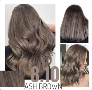 Bremod Hair Colourant 8.10 Ash Brown + Premium Oxidant 100ml + Premium Bleach 30h