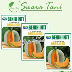 Benih Melon Orange MELODI Benih Inti 200 Biji