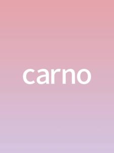 CARNO | Bath and Toilet Hamster Accessories