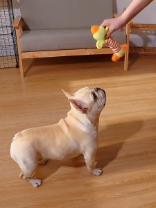 Discover the Best Plush Sound Toys for Puppies & Interactive Dog Toys